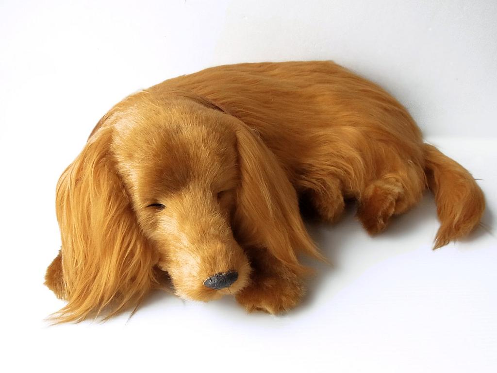 Ninian and Kino Perfect Pet Dachshund Long Plush Lifelike Dog Stuffed Animal (Large) (Red) Dog, Realistic, Dachshund, Animal, Soothing, Moving,