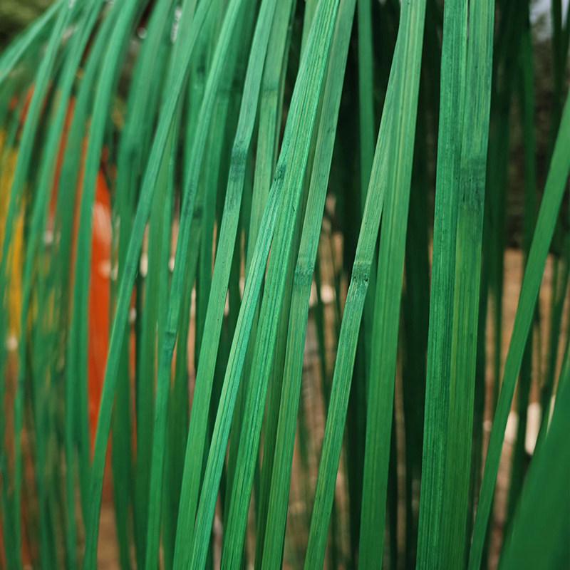 Handmade Yellow Bamboo Strips: Thin Bamboo Slices & Threads for DIY, Wedding Decorations, and Kindergarten Crafts
