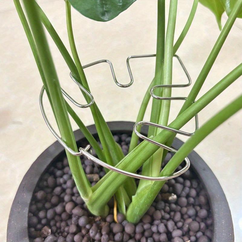 Reusable Metal Climbing Plant Stems Support Stake, Unique Design Plant Stake, Garden Decor, Flower Pot Decor, Plant Trellis, Ideal for Healthy Growth