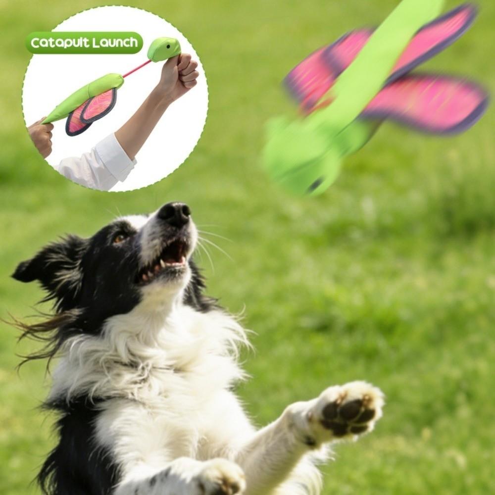 Press To Sound Interactive Dog Throw Toy Chew Resistant Puppy Fetch Toys Park Outdoor