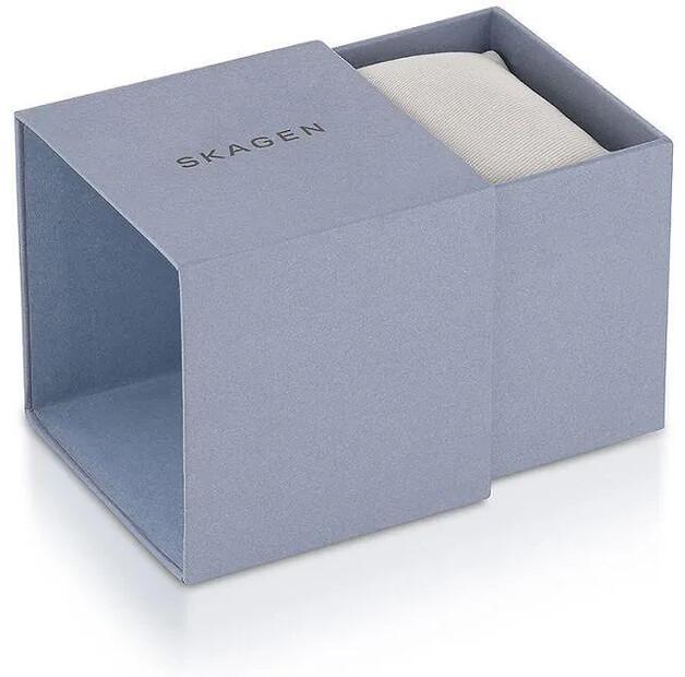 Часы Skagen Skw2665