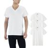 Gunze Size L To Japanese Size HK15153 G.T.HAWKIN V-Neck T-Shirts (3-Pack), Men's, White, (Equivalent L),
