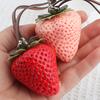 Strawberry Charm Keychain Leather Bag Decoration Pendant  High-End Bag Accessories