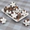 Artificial Kapok Natural Dried Flowers Simulation Cotton Wedding Room Easter Decoration Supplies DIY Wreath Bouquet Gift Box