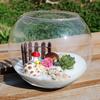 1 dona Mikro Landshaft Shisha Vaza Sukkulent O'simlik Terrarium Idishi Gul Ko'chatlari