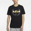 Nike Футболки Мужские Черные С Круглым Вырезом Умеренный Прямой Крой CV2048-010