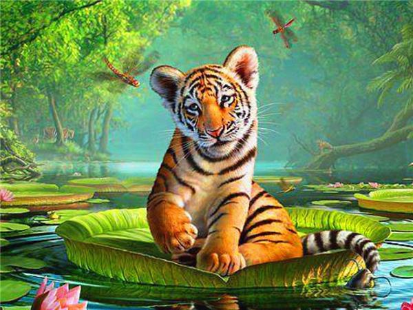 DIY 5d алмазная живопись кошка полная квадратная/круглая дрель Алмазная вышивка крестиком животное мозаика картина домашний декор