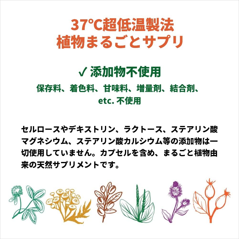 Кофе зеленые бобы хлорогеновая кислота тригонеллин добавка 120 капсул растения 2 без пестицидов без добавок 100% [Набор пакетов]