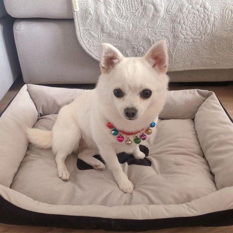 Кровать для собаки, кошачье гнездо, универсальное зимнее теплое гнездо для домашних животных на четыре сезона, удобное и стабильное спальное гнездо