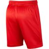 Jordan Practice Fashion Skin-Friendly Comfortable Soft Casual Shorts Men Shorts AR4316-657