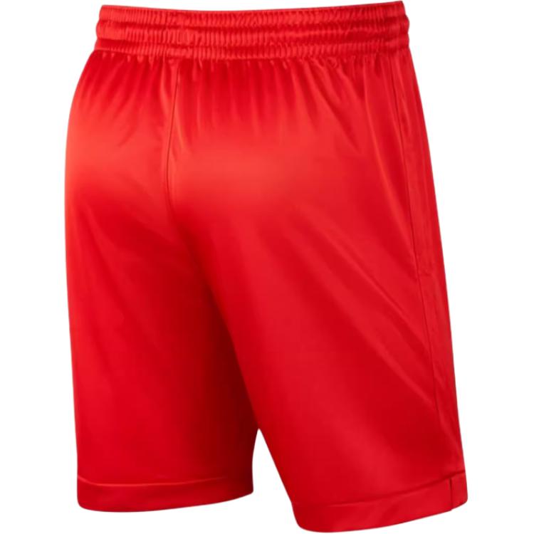 Jordan Practice Fashion Skin-Friendly Comfortable Soft Casual Shorts Men Shorts AR4316-657
