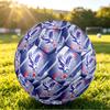 Personalized Size 5 Football Crystal Palace Pattern Outdoor Game Sports Ball Gift