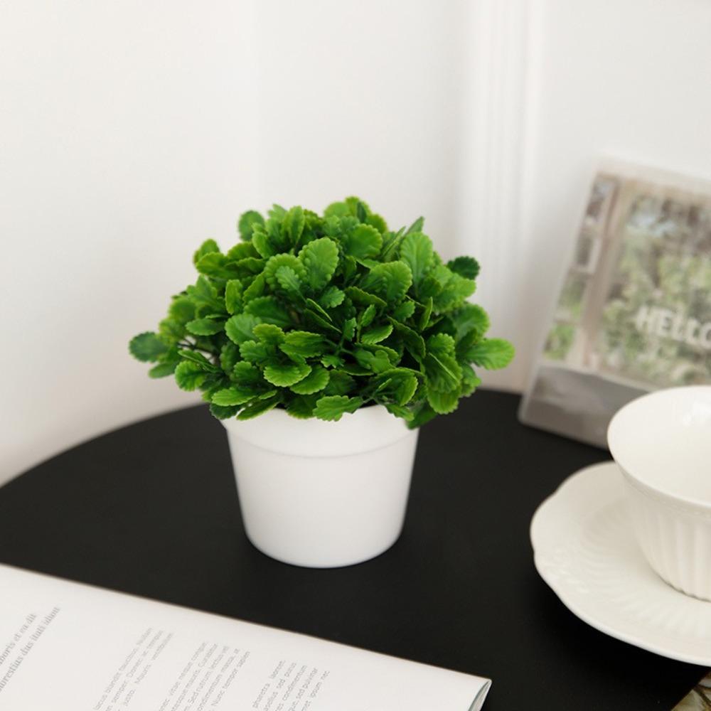 Evergreen False Plant Pot Fake Flower Simulation Flower Pot Mini Small Potted Plants Home