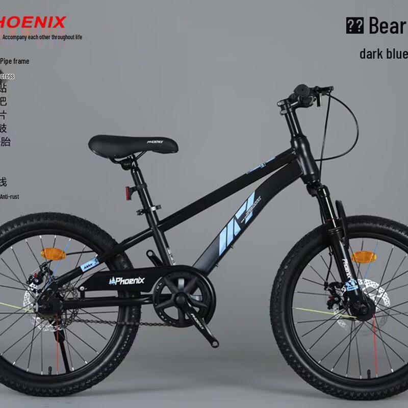 Phoenix Kids' 20-inch Mountain Bike