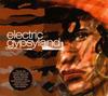 CD РАЗНЫЕ ИСПОЛНИТЕЛИ - Electric Gypsyland  3087942 Crammed Discs 2003 Япония Танцевальная и Электронная Музыка Б/У