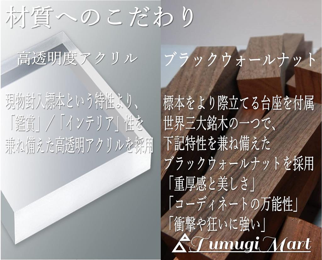 TumugiMart Периодическая таблица элементов Ореховый пьедестал Научный предмет Интерьер