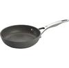 Frying Pan Zwilling Ballarini Salina 20 Cm (75002-808-0)