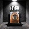 Funny Cute Pet Capybara  Phone Case For iPhone 14,16,15,13,17,12,Plus,Pro,Max Magnetic For Magsafe Frosted Cover