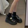 Muffin Platform Mary Jane Single Shoes Women's 2025 Spring and Autumn New British Style Versatile Velcro Loafers
