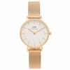 Daniel Wellington Petite 28mm Unisex Quartz Watch for Men and Women, Rose Gold (DW00600219)