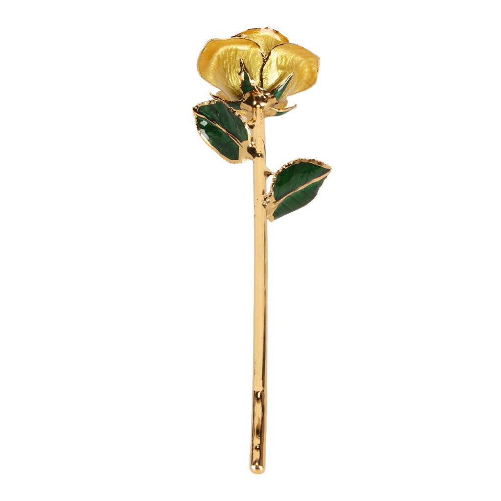 Preserved Rose 24K Gold Plated Bright Luster Rich Details Naturally Gold Dipped Rose with Holder
