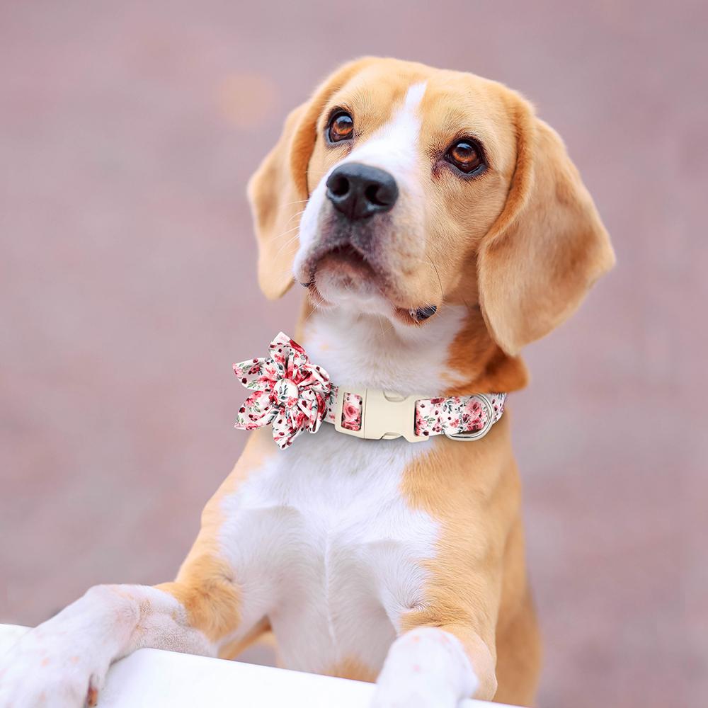 Модный нейлоновый ошейник для собак с цветочным принтом, регулируемый весенний ошейник для собак с цветком для маленьких и средних собак, мопса, чихуахуа
