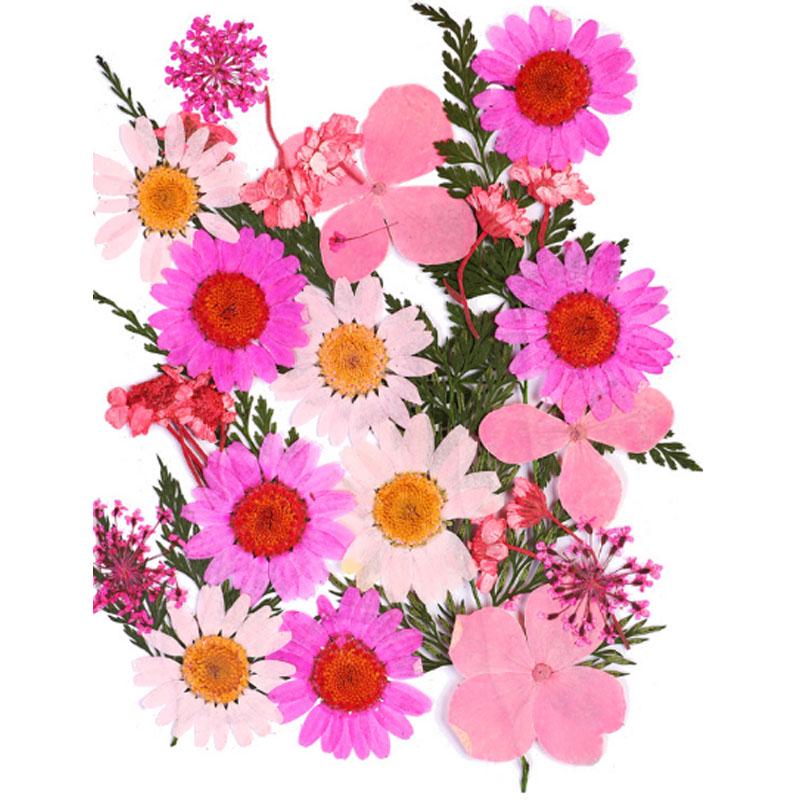 Популярные маленькие 25 шт./пакет, высокое качество, украшение для дома, сушеные цветы, прессованные цветы, консервированные цветы, сделай сам, мини-цветы ручной работы