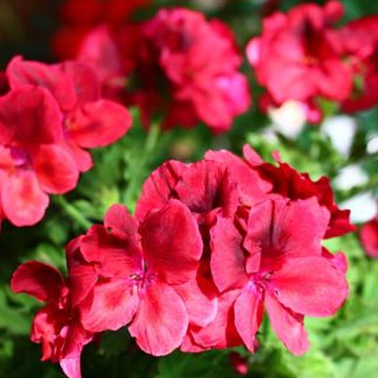 Статуэтка акробатического клоуна из смолы, настольная скульптура клоуна, декор для кашпо, клоун в цветочном горшке