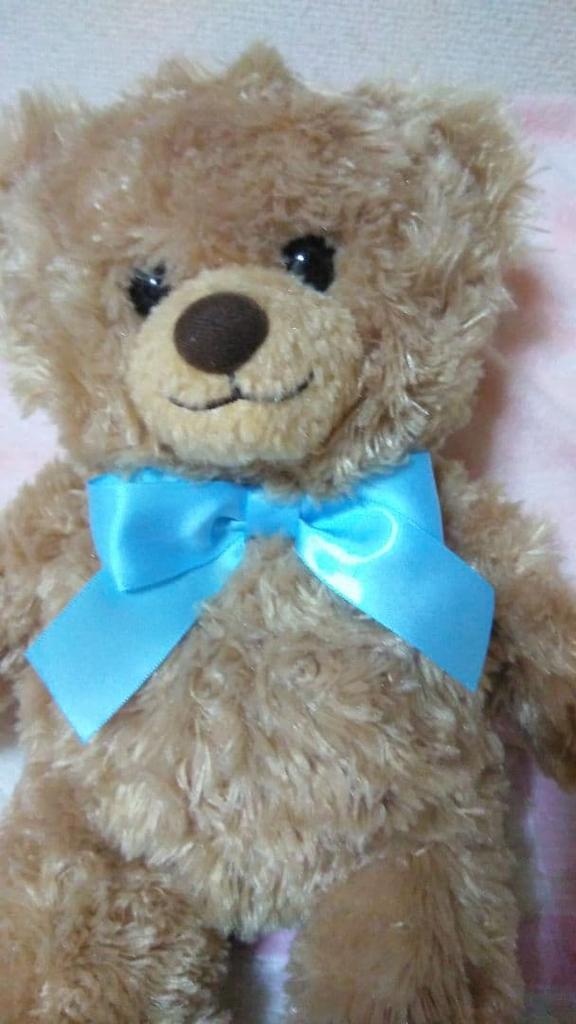 [USED] Teddy Bear
