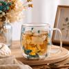 Flower Pattern Dried Flower Glass Cup 250/390ML Double Wall Mug Clear Glass Cup  Home Use