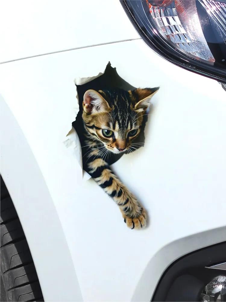 Cute Cat Car Sticker Vinyl Decal Waterproof Rear Window Motorcycle Camper Bumper Truck Laptop Decoration #SJ16
