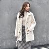Autumn Winter New Fur Coat Women Middle Long Mink Brushed Plush Wool High