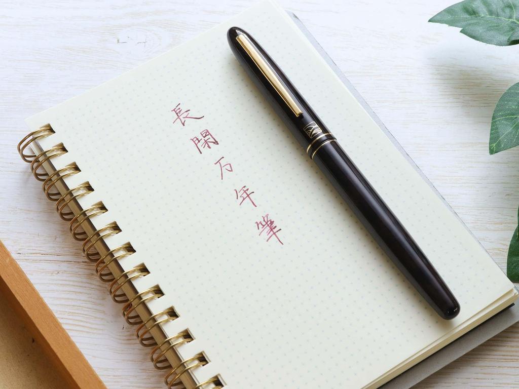 WANCHER Kuretake Nagakan Fountain Pen Kurokasumi Fountain Pen Fountain Fine - [Wancher Pen] (F Nib)