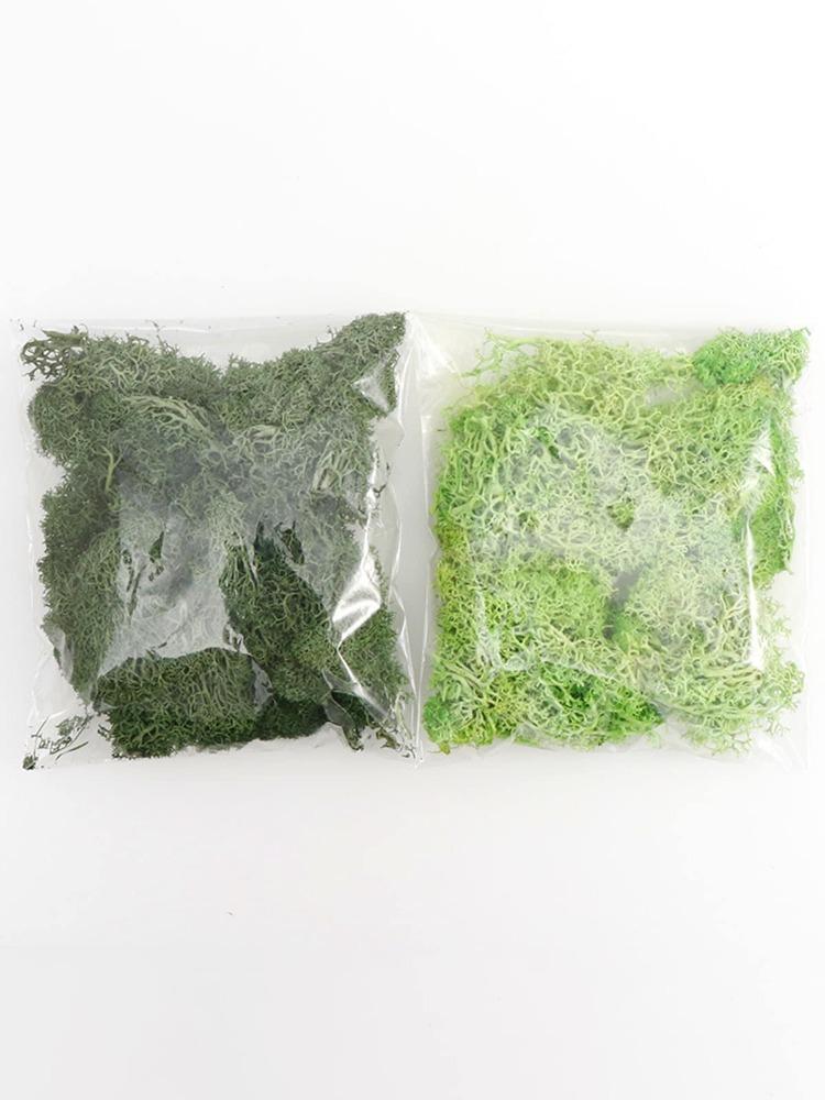 20 г Искусственный Бессмертный Мох Зеленый Искусственное Растение для Дома Сада Гостиная Озеленение Декор Наполнитель Стены Цветочное Растение Искусственный Мох