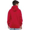 Spider-Man Childrens/Kids Graff Parker Pull Over Hoodie