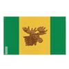 Drapeau Moose Jaw 90 X 150 Cm