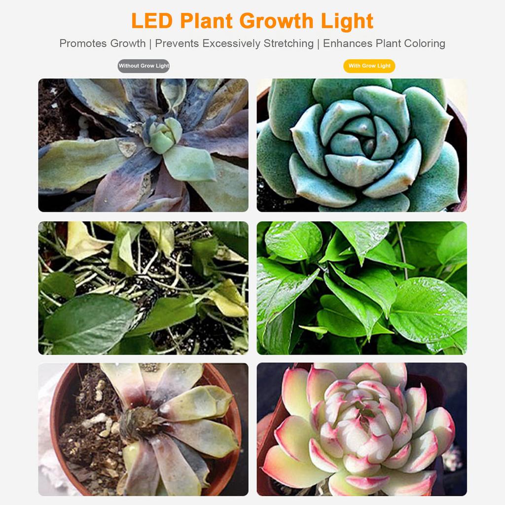 Indoor Plants Grow Light Strips Red Blue LEDs Grow Lamp for Hydroponics Succulent Supplement Light