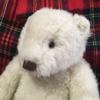 [USED] White Teddy Bear - Polar Bear Plush Toy by MON SEUIL