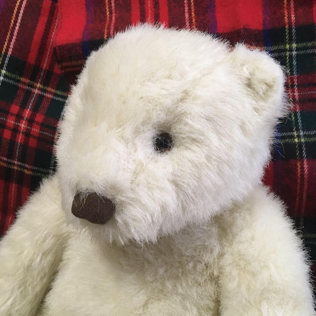 [USED] White Teddy Bear - Polar Bear Plush Toy by MON SEUIL