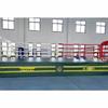 Professional Boxing & MMA Training Ring