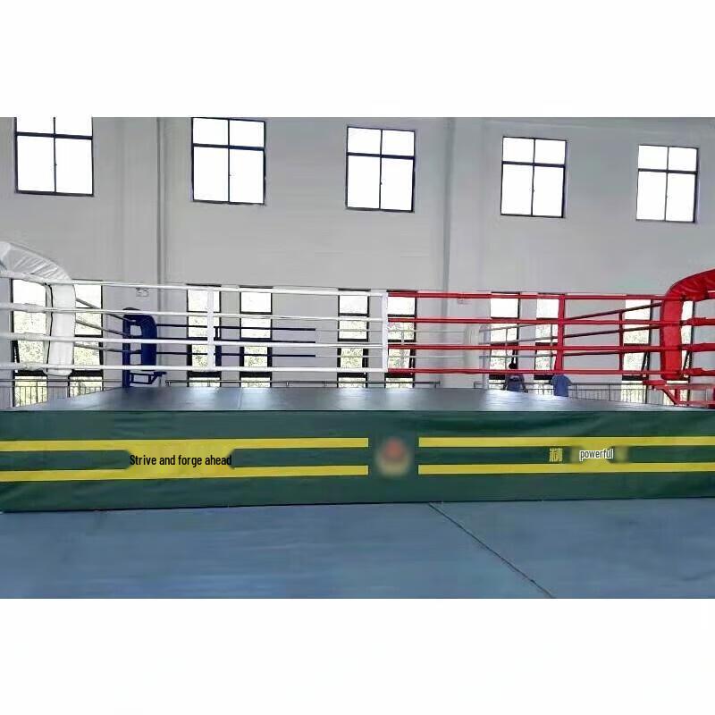Professional Boxing & MMA Training Ring