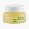 Made In Korea Notseeback Cape Aloe Calm & Pushing Up Cream