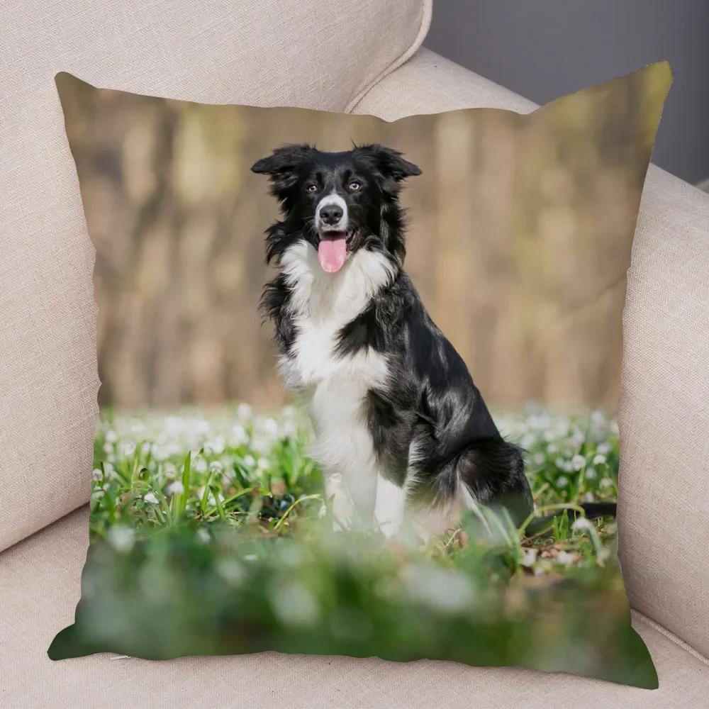 Милый Домашний Питомец Наволочка Шотландия Бордер Колли Наволочка для Дивана Автомобильного Декора Принт Собаки Мягкая Плюшевая Наволочка