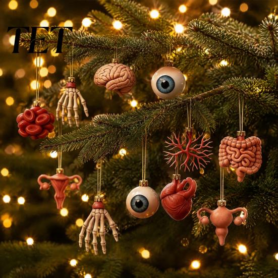 Educational Christmas Gift Anatomy Advent Calendars 2026, 24 Days Organs Ornaments Countdown Calendar, 2D Medical Student Acrylic Human Body