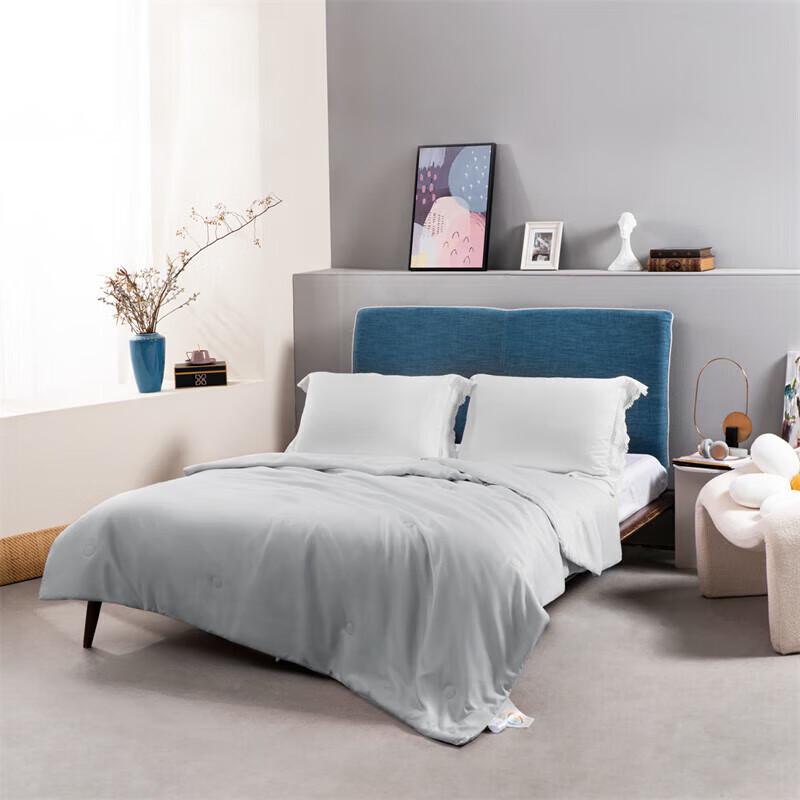 Mercury Lyocell Tussah Silk Summer Quilt