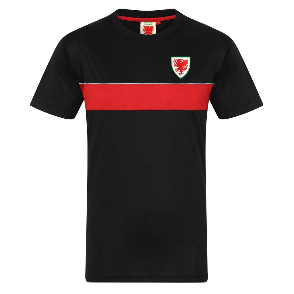 Wales Cymru Mens Polyester T-Shirt