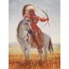 Новый 5D DIY алмазная живопись индейцы Алмазная вышивка пейзажи вышивка крестиком полная круглая дрель ремесло домашний декор ручной подарок