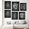 Vintage Human Anatomy Poster Artwork Medical Wall Picture Muscle Skeleton Canvas Print Painting For Hospital Clinic Decor