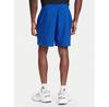 Шорты спортивные adidas Essentials Small Logo Chelsea
