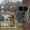 Охотничья камера SUNTEKCAM HC-809A, 50 МП 4K HD, водонепроницаемость IP65
